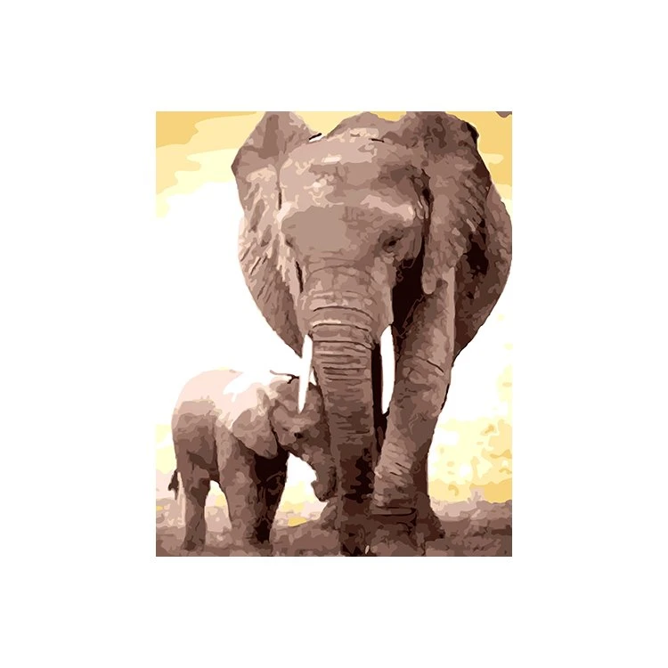Paint By Numbers Elephant Canvas